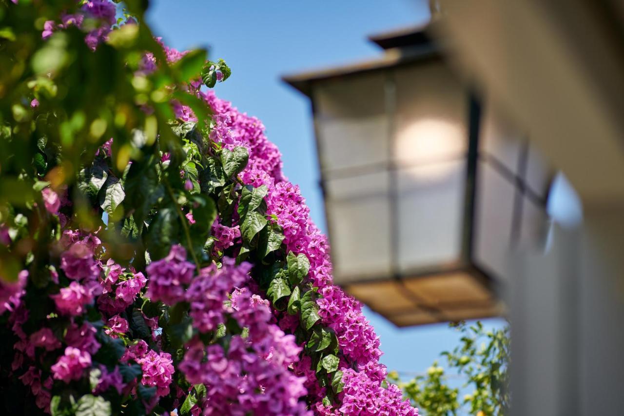 Villa Magnolia Cavtat Bagian luar foto